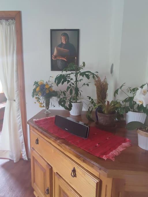 Cemerno Cottage Gacko Экстерьер фото